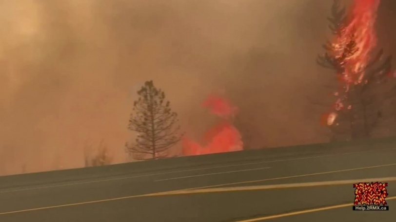 719 وفاة و130 حريقا.. كندا تشهد موجة حر غير مسبوقة (صور)