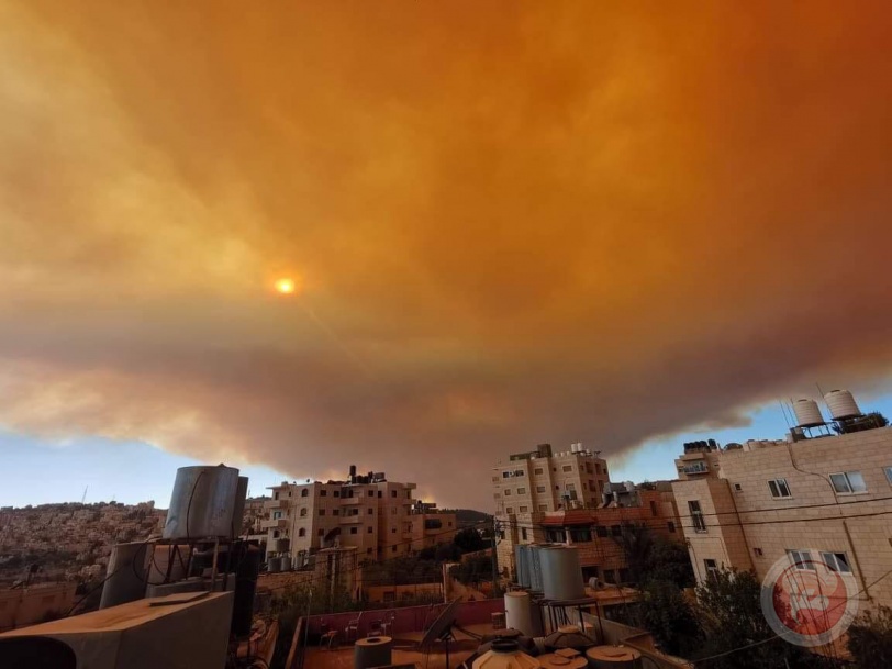 حريق كبير بجبال القدس وإخلاء منازل للمستوطنين (صور)