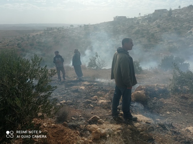 Settlers burn agricultural lands in the town of Sa'ir, Hebron