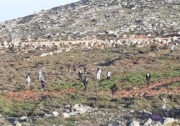 Settlers attack citizens west and north of Nablus