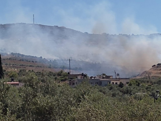 Settlers burn dozens of olive trees in Burin, south of Nablus