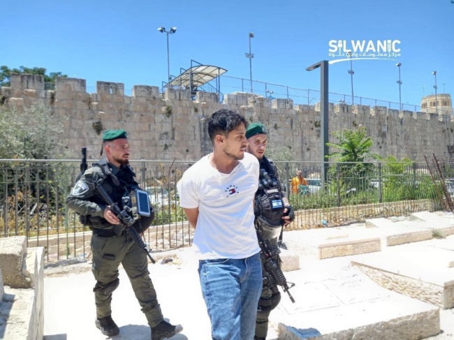 Occupation forces arrest a young man from Bab al-Asbat