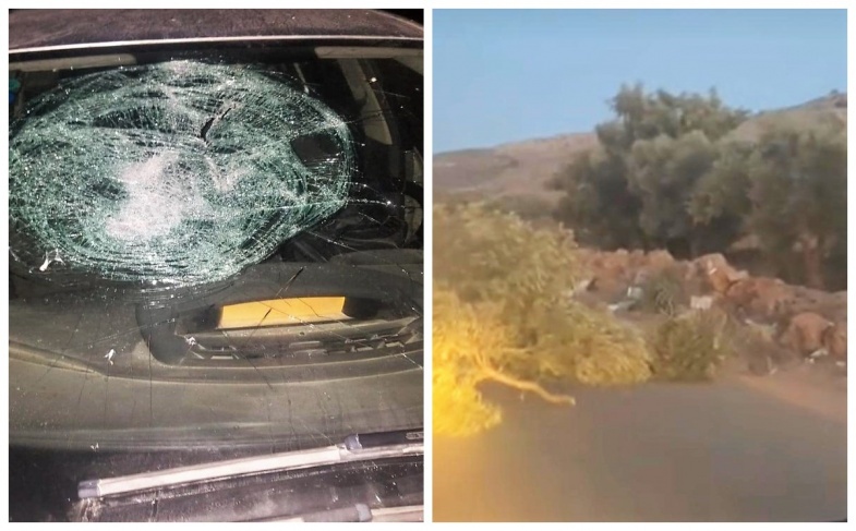 Settlers attack citizens and cut down 5 trees east of Ramallah