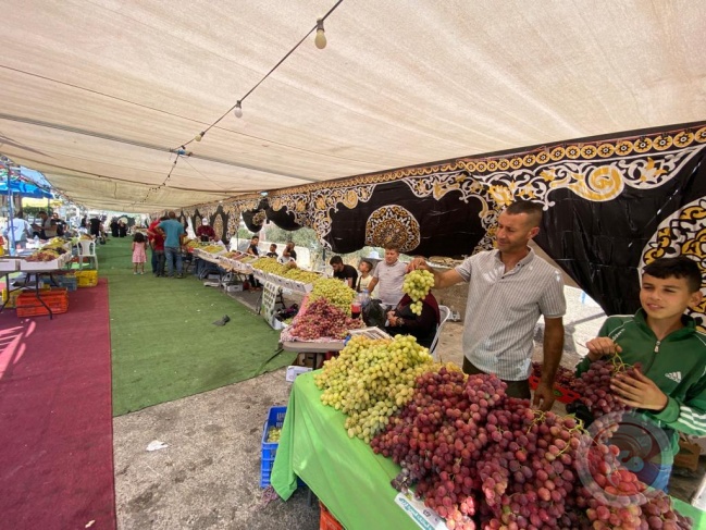 The settlement devoured the grape lands in Al-Khidr