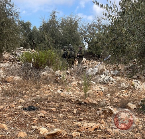 The occupation prevents a family from picking olives west of Salfit