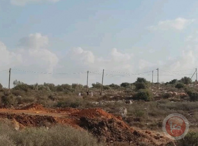 Settlers attack olive pickers west of Salfit