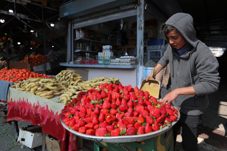 Strawberries "Gaza's Red Gold".. (album)