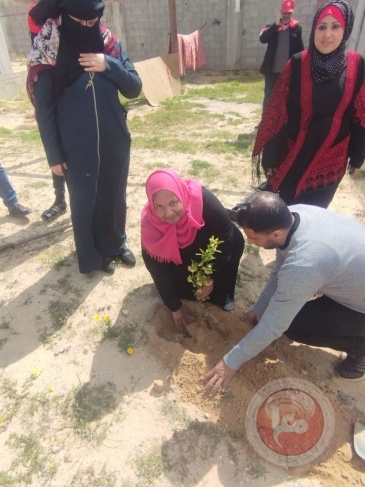 "democracy"  Commemorating Earth Day by planting olive seedlings on the Gaza border