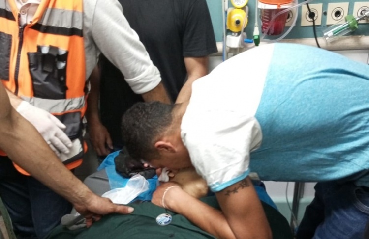 A martyr shot by the occupation in Aqabat Jaber camp