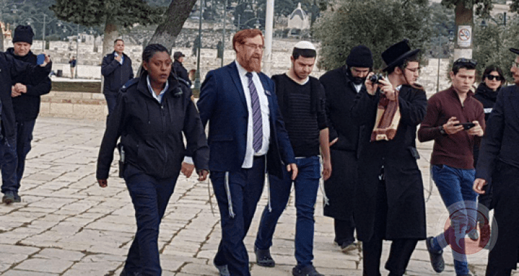 Led by the extremist Glick - settlers storm Al-Aqsa