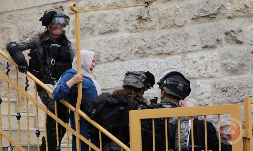 The occupation assaulted a member of the Hebron Municipal Council, injuring two citizens by suffocation