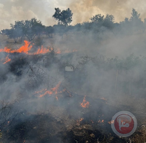 The occupation prevents the civil defense from putting out a fire east of Bethlehem