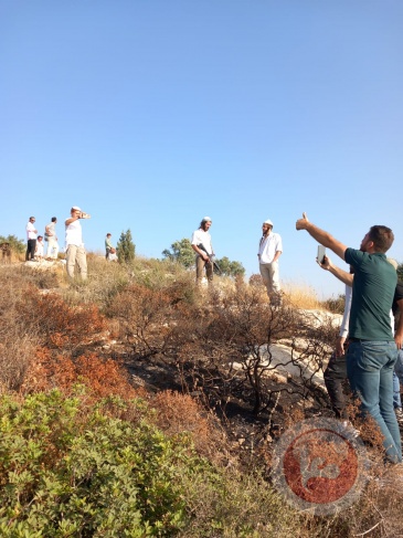Settlers renew their attack on the town of Cyrenaica