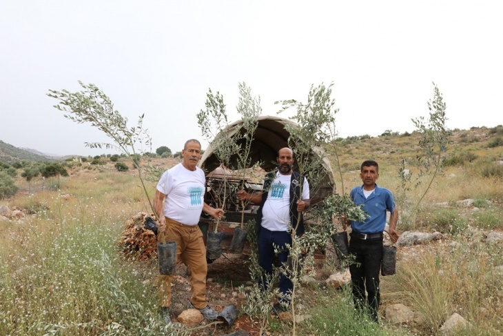 The Arab Group for the Protection of Nature replants 285 trees uprooted by the occupation in Kafr El Dik
