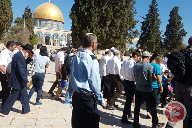 Occupation court overturns decision allowing settlers to pray at Al-Aqsa